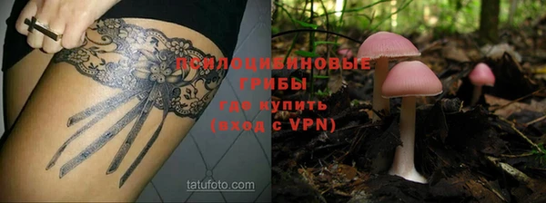 прущий лед Алексин
