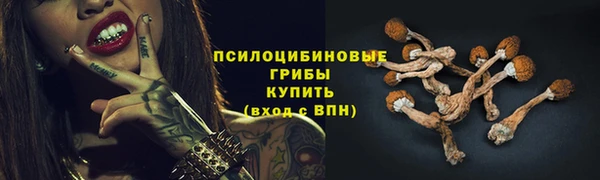 амф Пестово