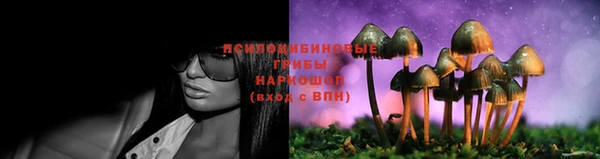 экстази Переславль-Залесский