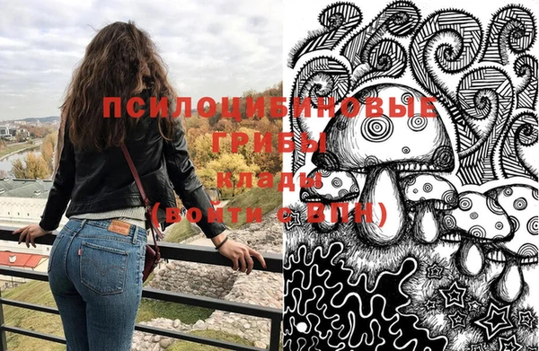 прущий лед Алексин