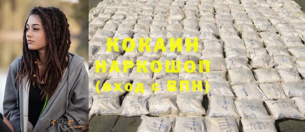 гашик Алексеевка