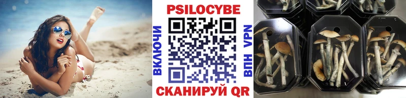 Псилоцибиновые грибы GOLDEN TEACHER  Любим 